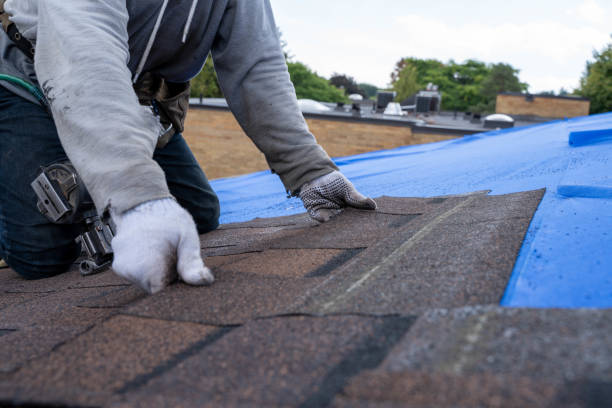 Best Gutter Installation and Roofing  in Zion, PA